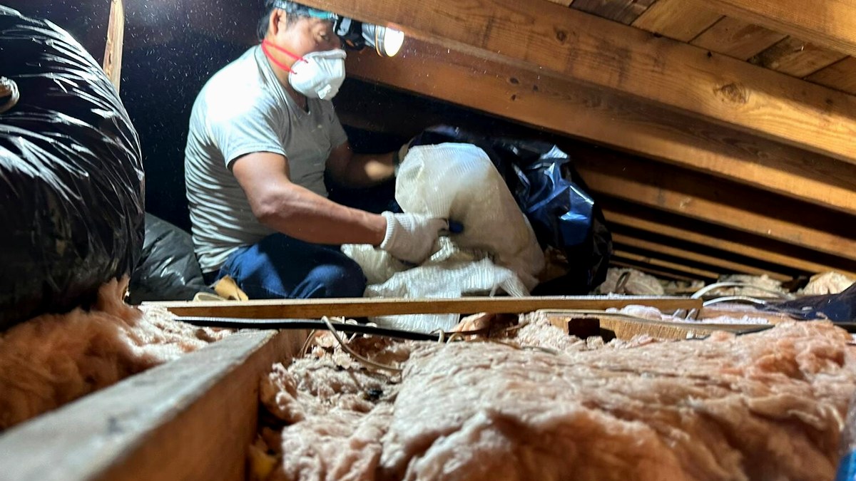 Attic Insulation & Air Sealing work by RemodeLA Builders on a Los Angeles home