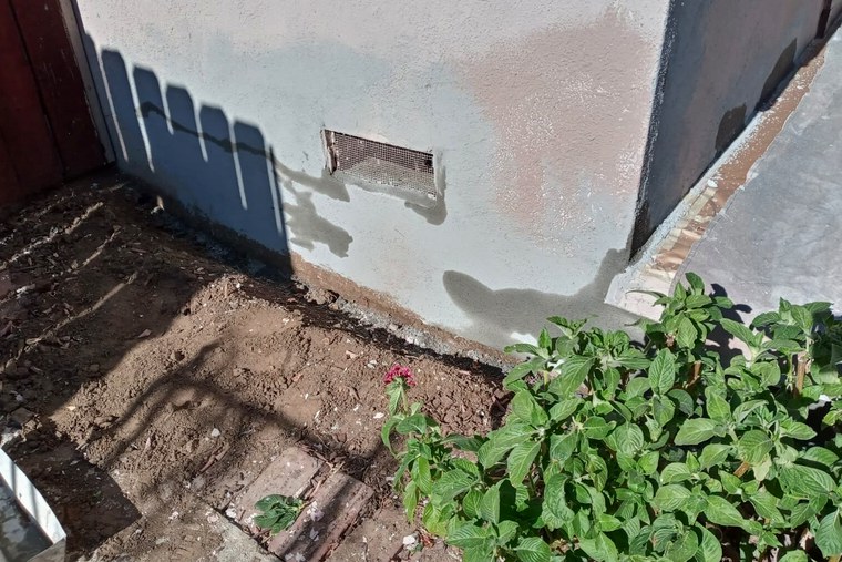Cool Life Paint project detail by RemodeLA Builders