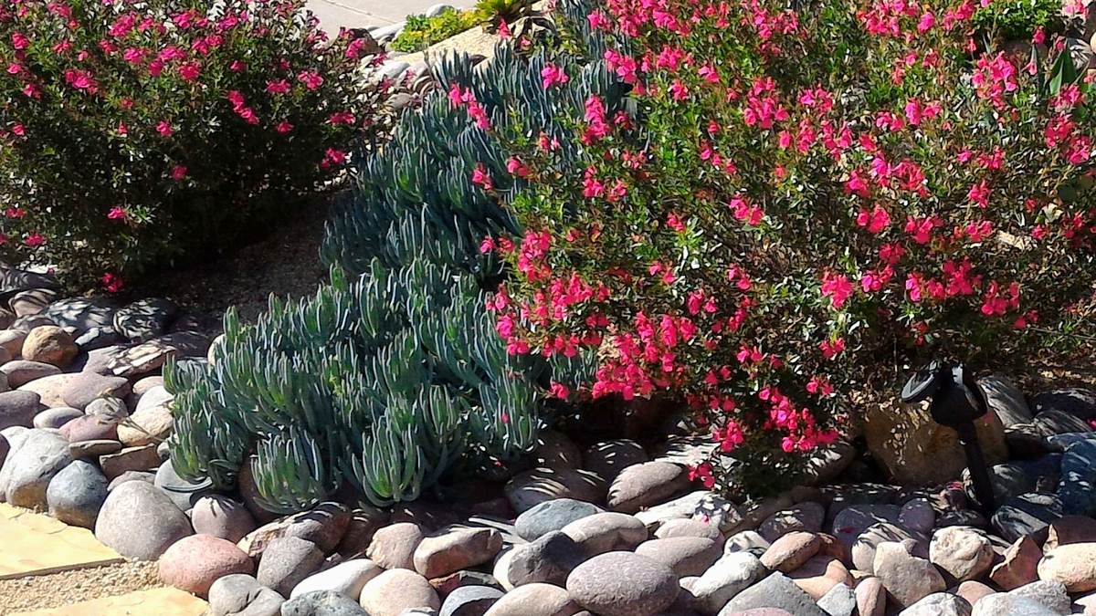Landscape & Hardscape work by RemodeLA Builders on a Los Angeles home